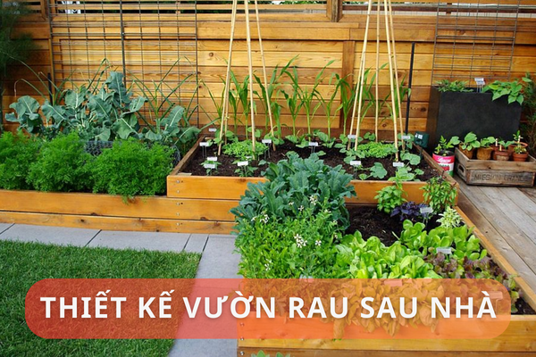 Gợi ý mẫu thiết kế vườn rau sau nhà đẹp mắt